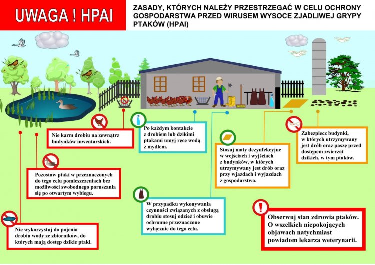 - ulotka-1.jpg - ulotka-1.jpg