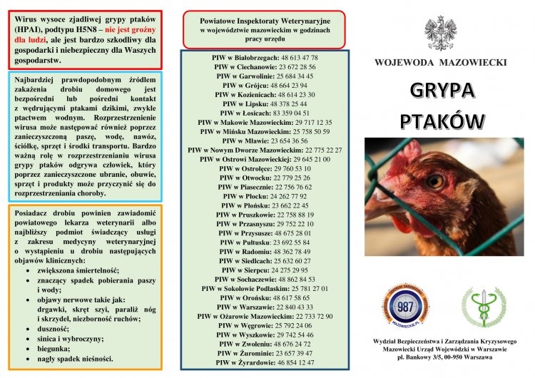 - ulotka-2.jpg - ulotka-2.jpg